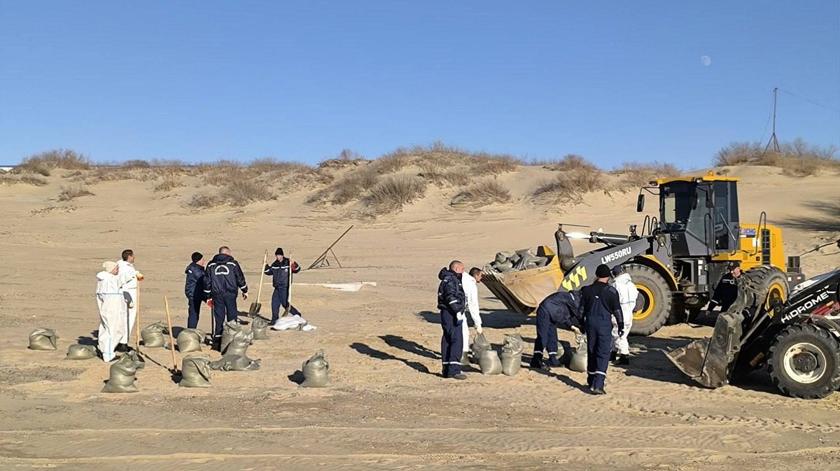     Фото: пресс-служба администрации Краснодара