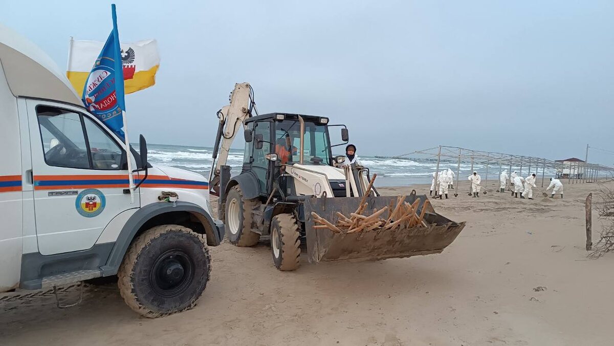 Фото: пресс-служба администрации Краснодара