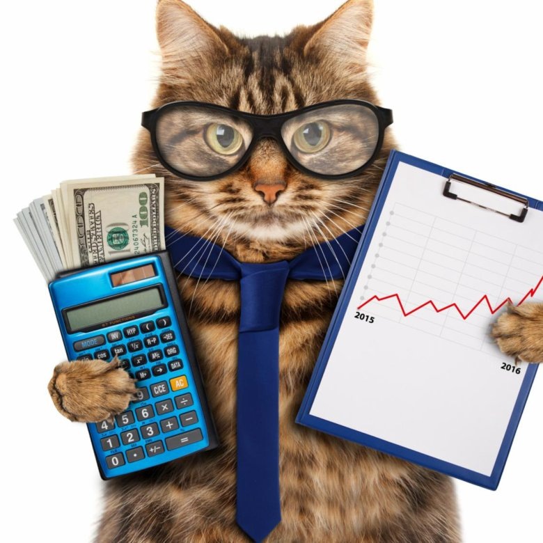 Бухгалтер (проект Юла)