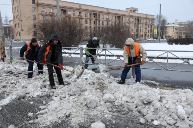    Фото: «Петербургский дневник»/ Дмитрий Фуфаев
