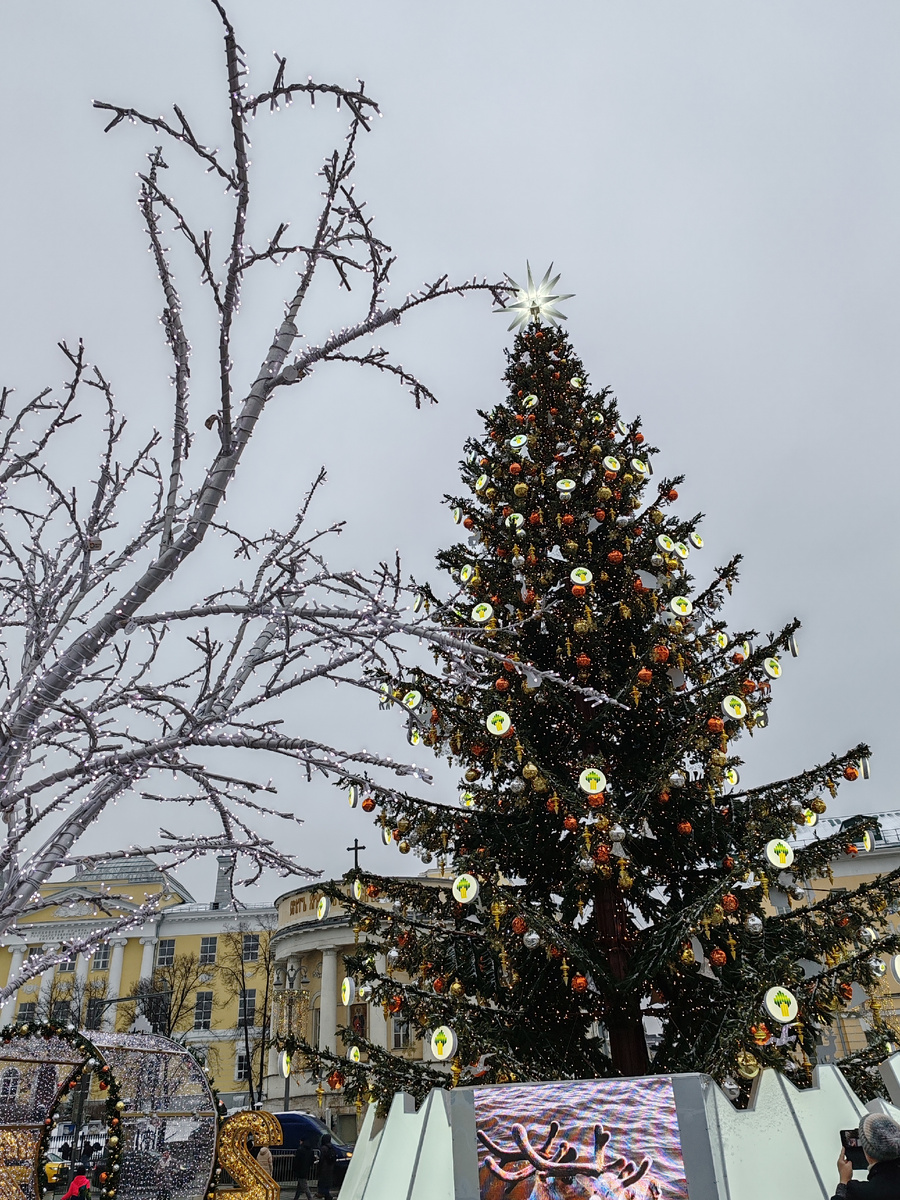 Елка Роснефти