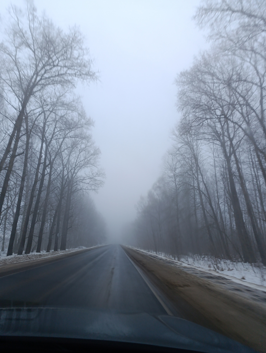 Туманный день 