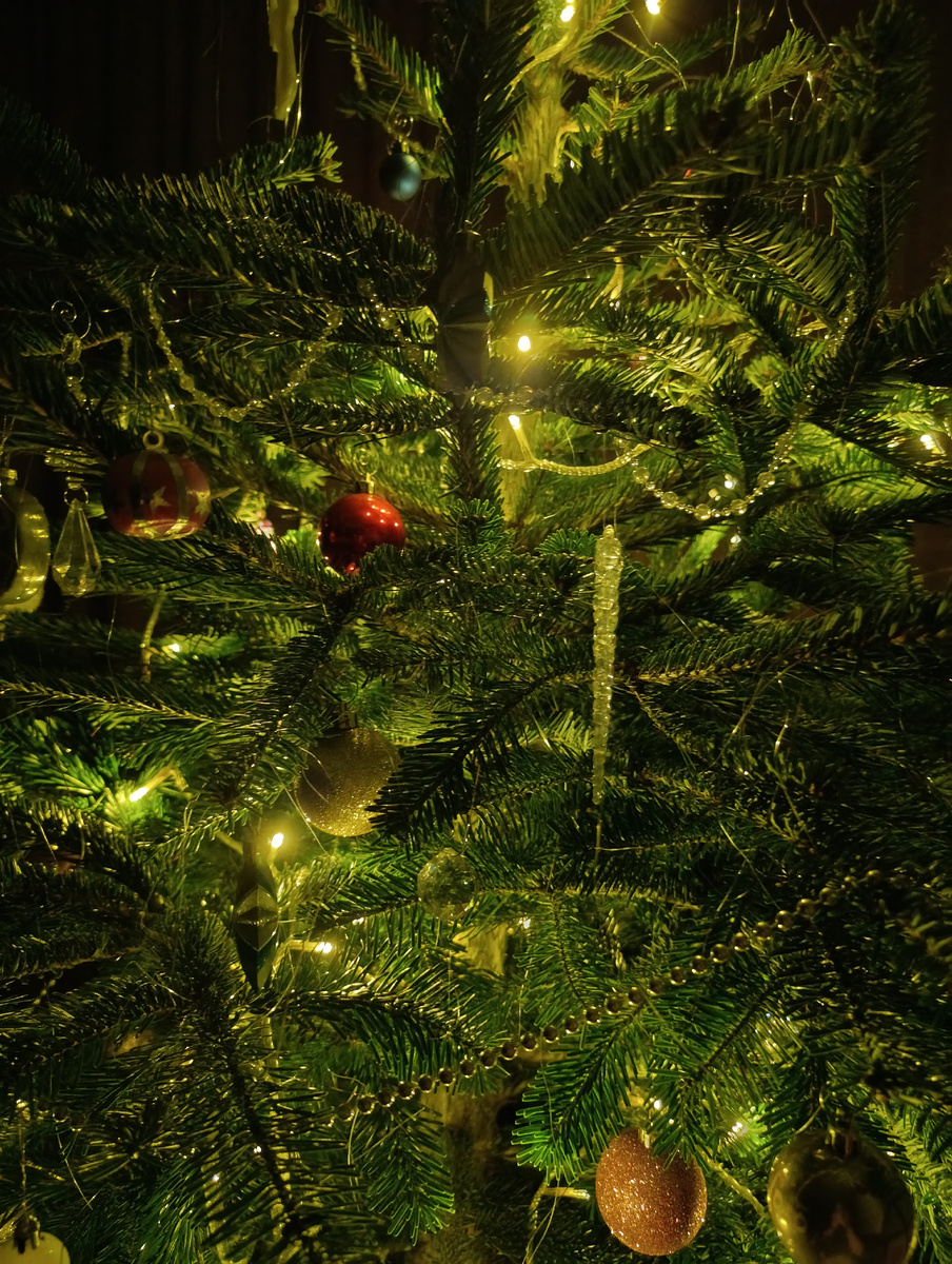 Муж предпочитает потратить больше денег, но установить дома настоящую пихту - его неизменная традиция 