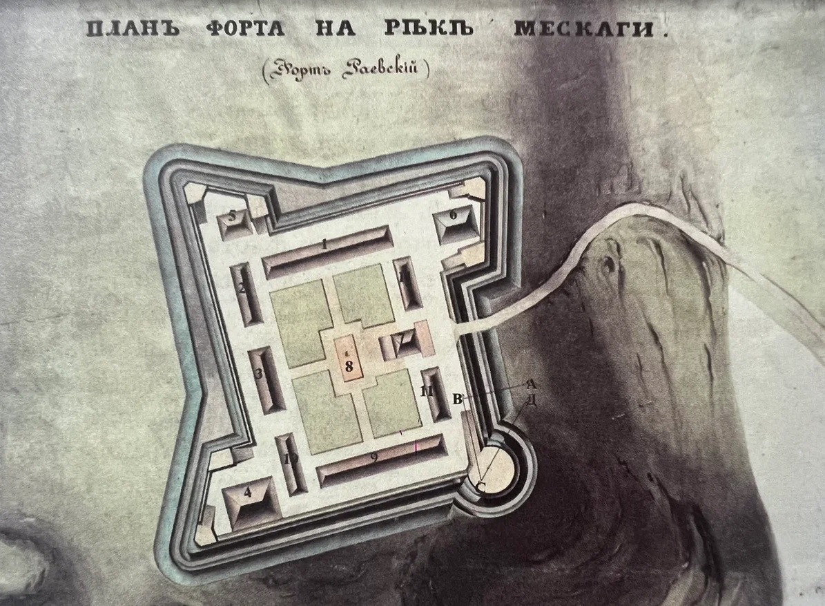 Из книги Л. Степко ‘Кордонная стратегия’