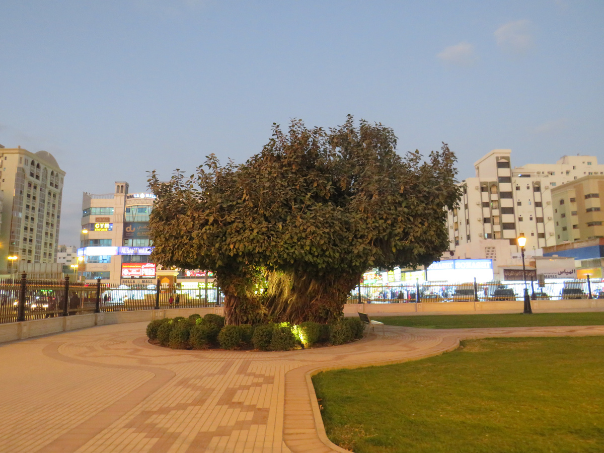 Парк на площади Аль-Ролла в Шардже, где я убедился, что карта UnionPay Россельхозбанка работает