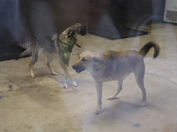     Фото пресс-службы Центра «Мой бизнес» Липецкой области