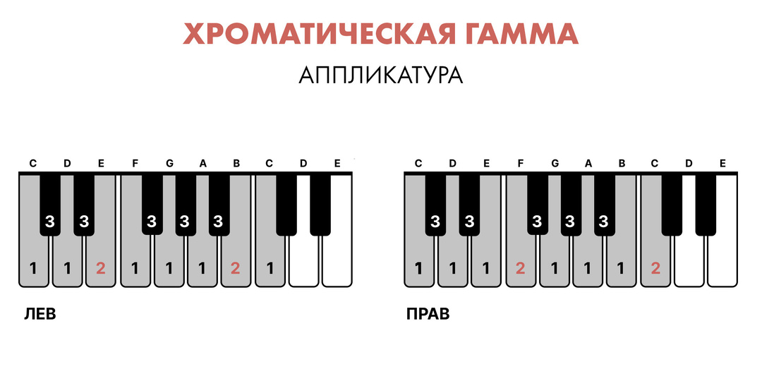 Хроматическая гамма. Аппликатура на фортепиано.