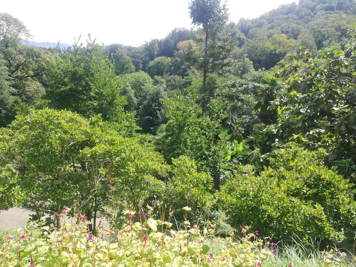 фото мое, к выставке отношения не имеет :)