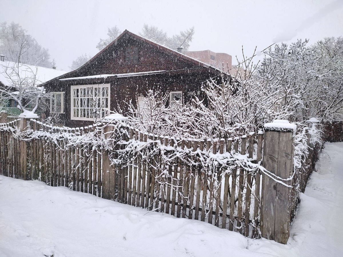 Фото автора, 31 декабря 2024 года