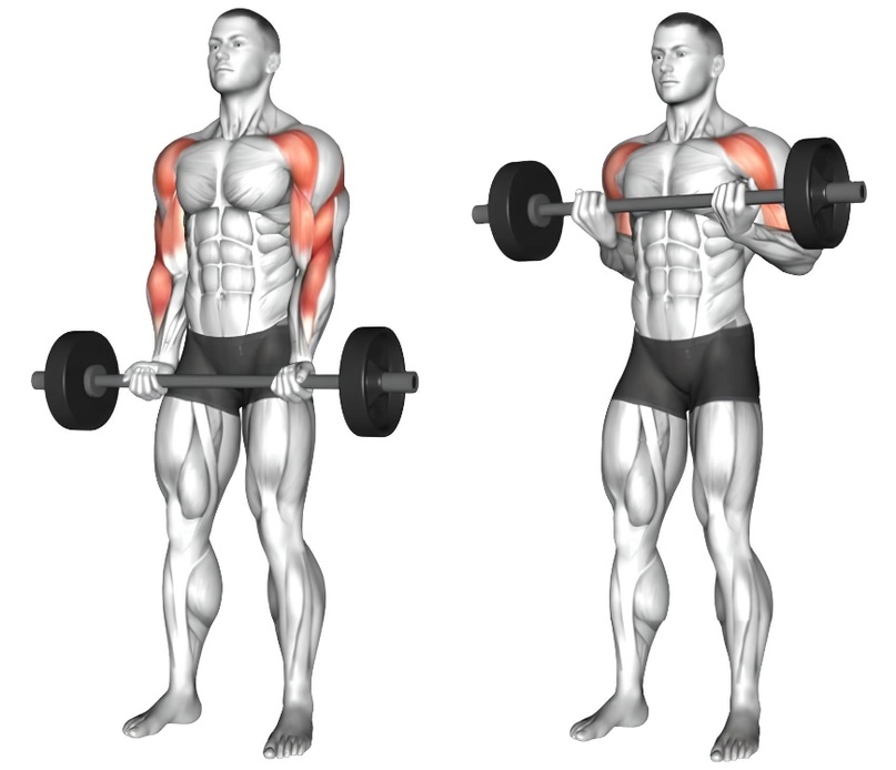 «Крюк» на бицепс | YADPROFitness