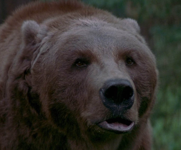 Кадр из фильма "На грани" (1997)