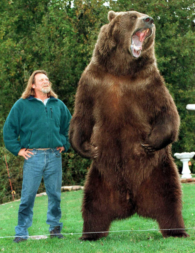 Медведь Барт и его дрессировщик Даг Сеусс.