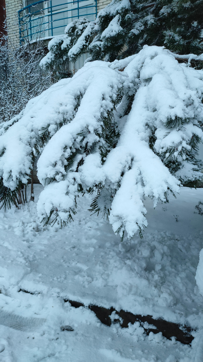 Фото автора 