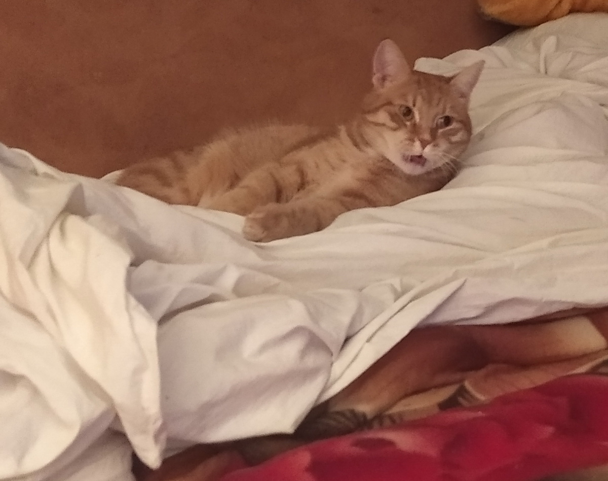 личное  фото