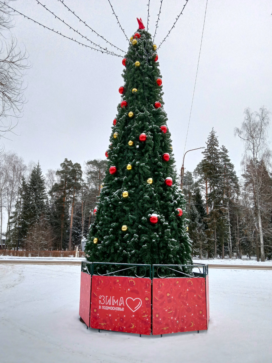 Фото автора.