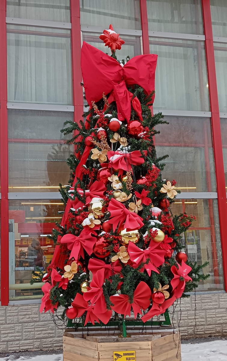 Фото автора.