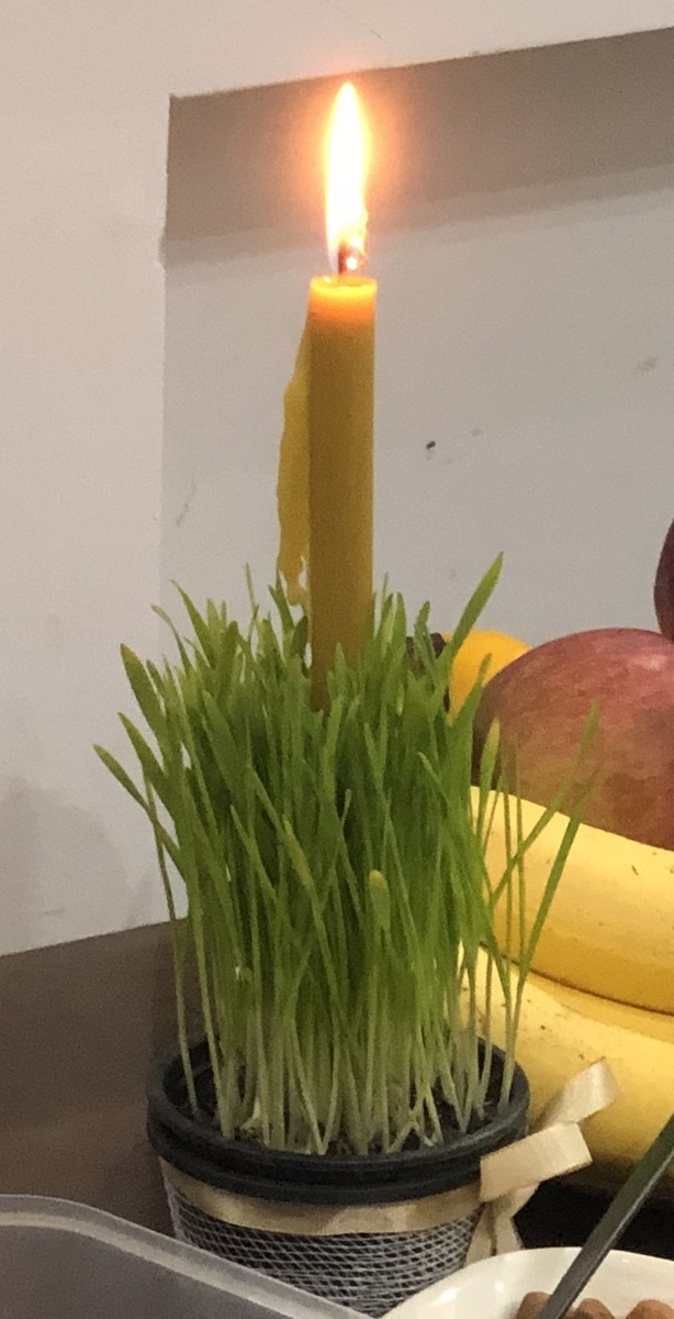 РОЖЬ И РОЖДЕСТВЕНСКАЯ СВЕЧА