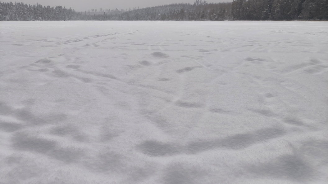    Maksim Konstantinov/Globallookpress