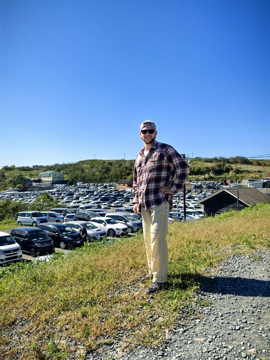 На зеленом углу смотрю на цены 