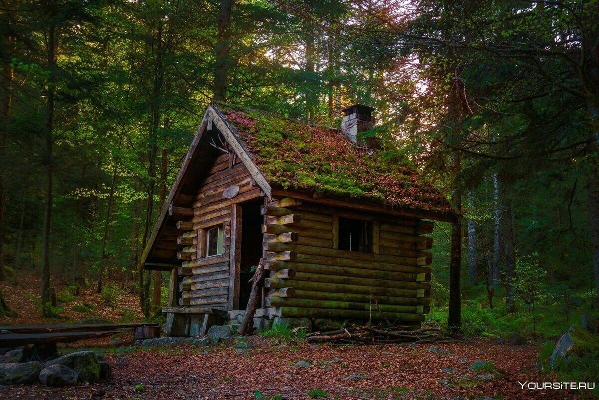 Фото из Яндекса