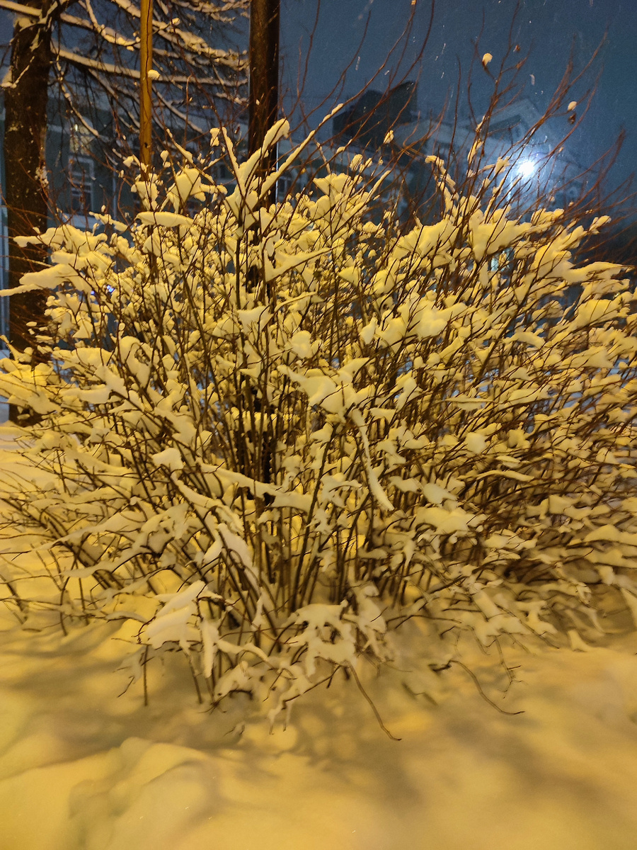 Ночная прогулка