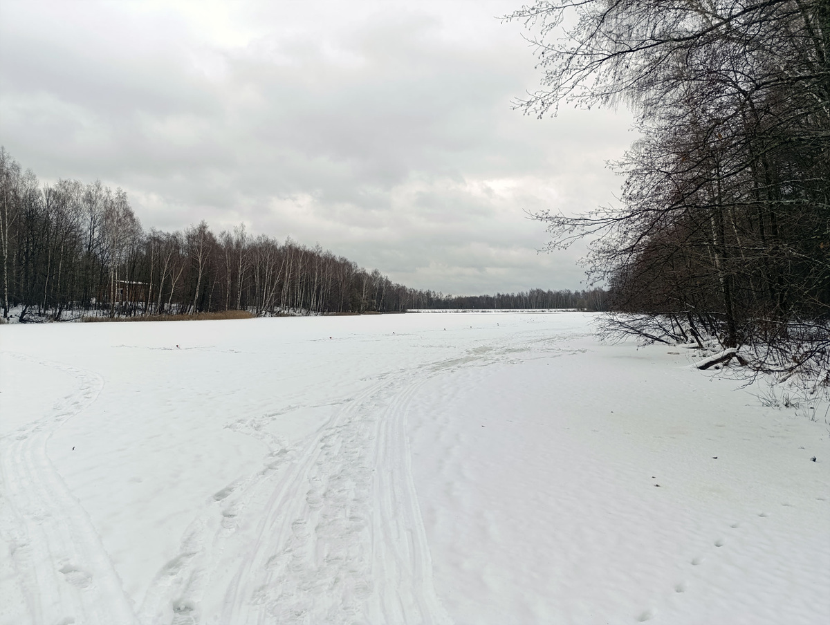 Пруд и жерлицы