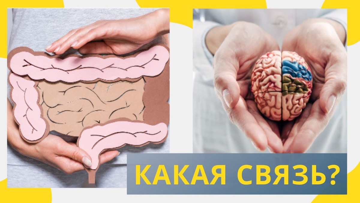 гастроэнтеролог