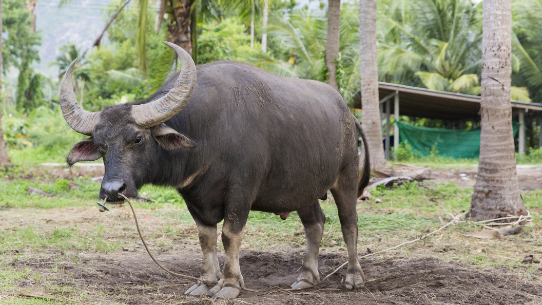    Aleksey Smyshlyaev/Global Look Press