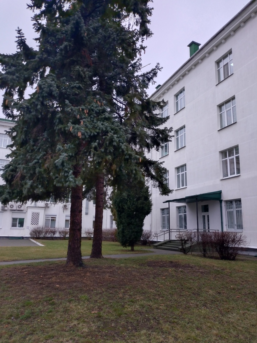 многообразие корпусов на территории военного госпиталя