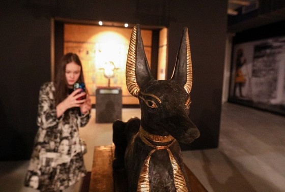    Куда сходить в Москве 11 и 12 января