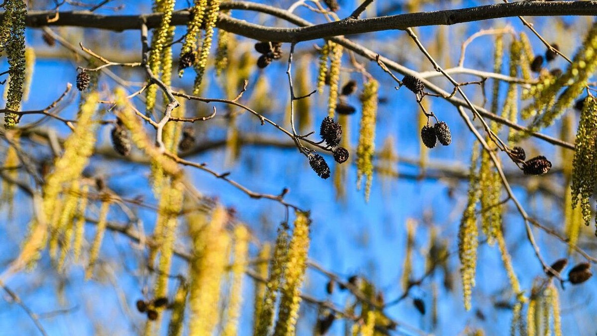    Фото: t.me/parkkrd