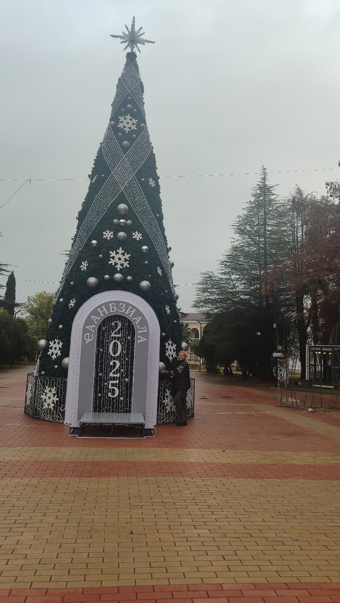 Главная Ёлка Гудауты