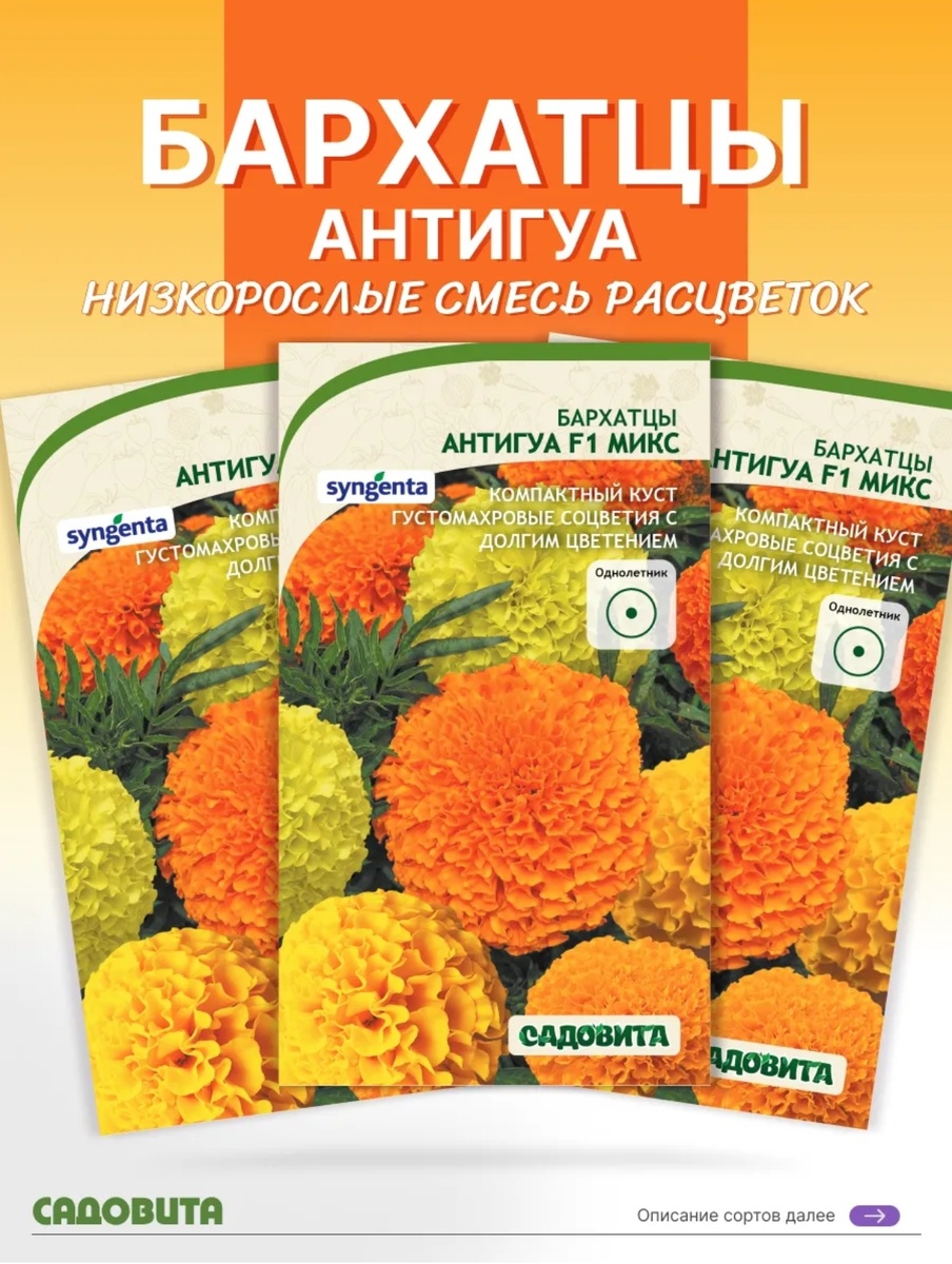 Бархатцы "Антигуа"