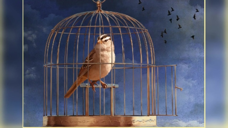 Сиңа иреккә ишек ачык, тик никтер чыгып очасың гына килми...