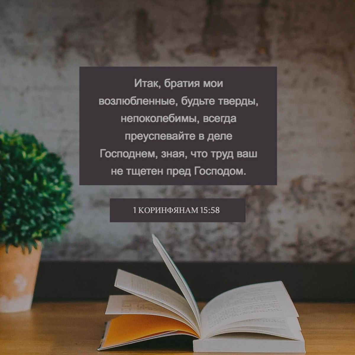 1 Коринфянам 15:58