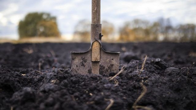 Фото с pinterest.com