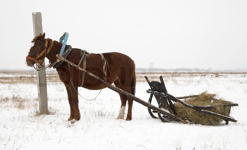 Фото их интернета