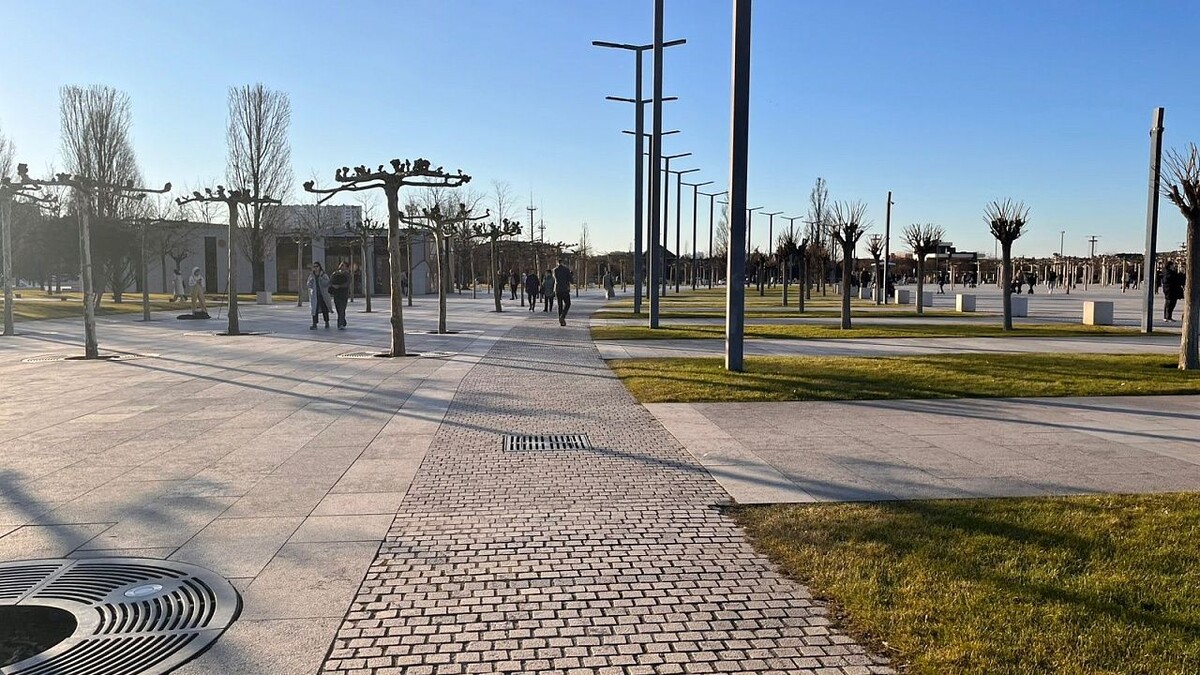    Фото: телеканал «Краснодар»