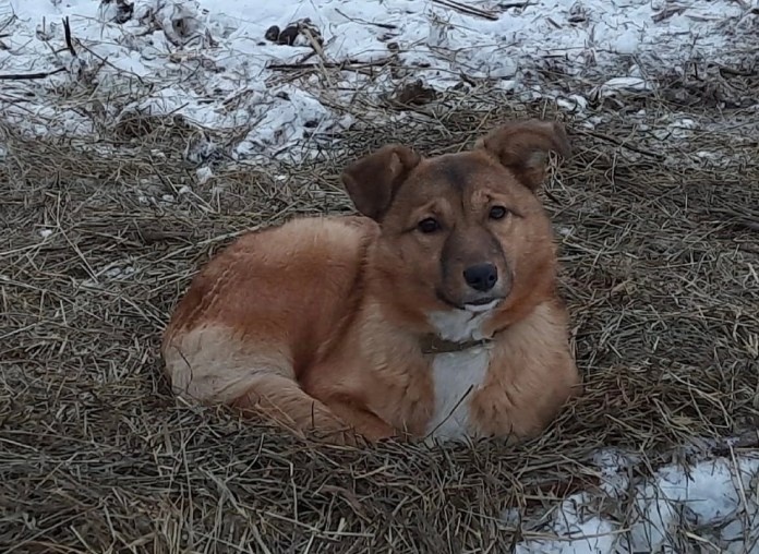    Фото: «РЕСАЙКЛ РЯЗАНЬ» на странице «ВКонтакте»