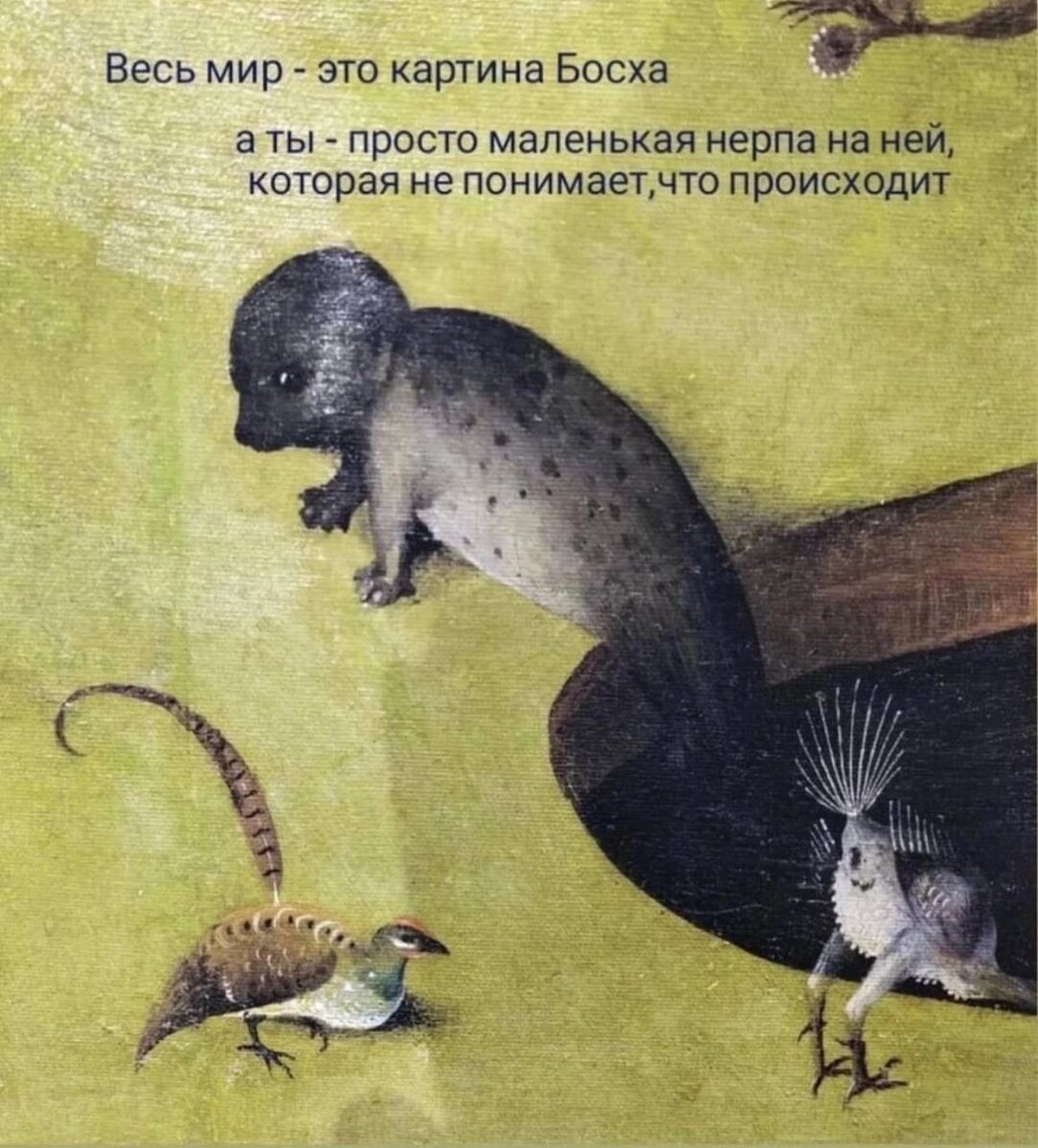 Описание моего состояния на одной картинке 