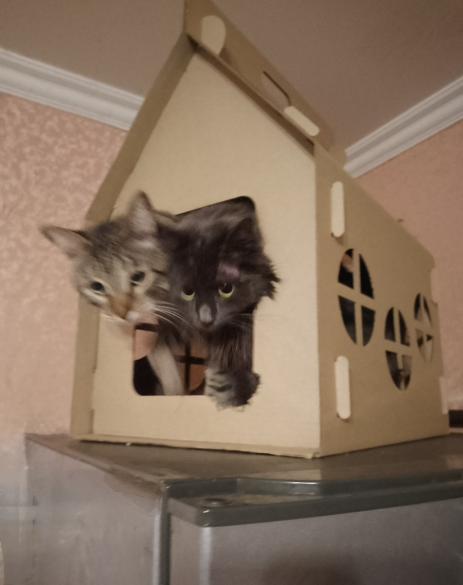 Флинт и Варя