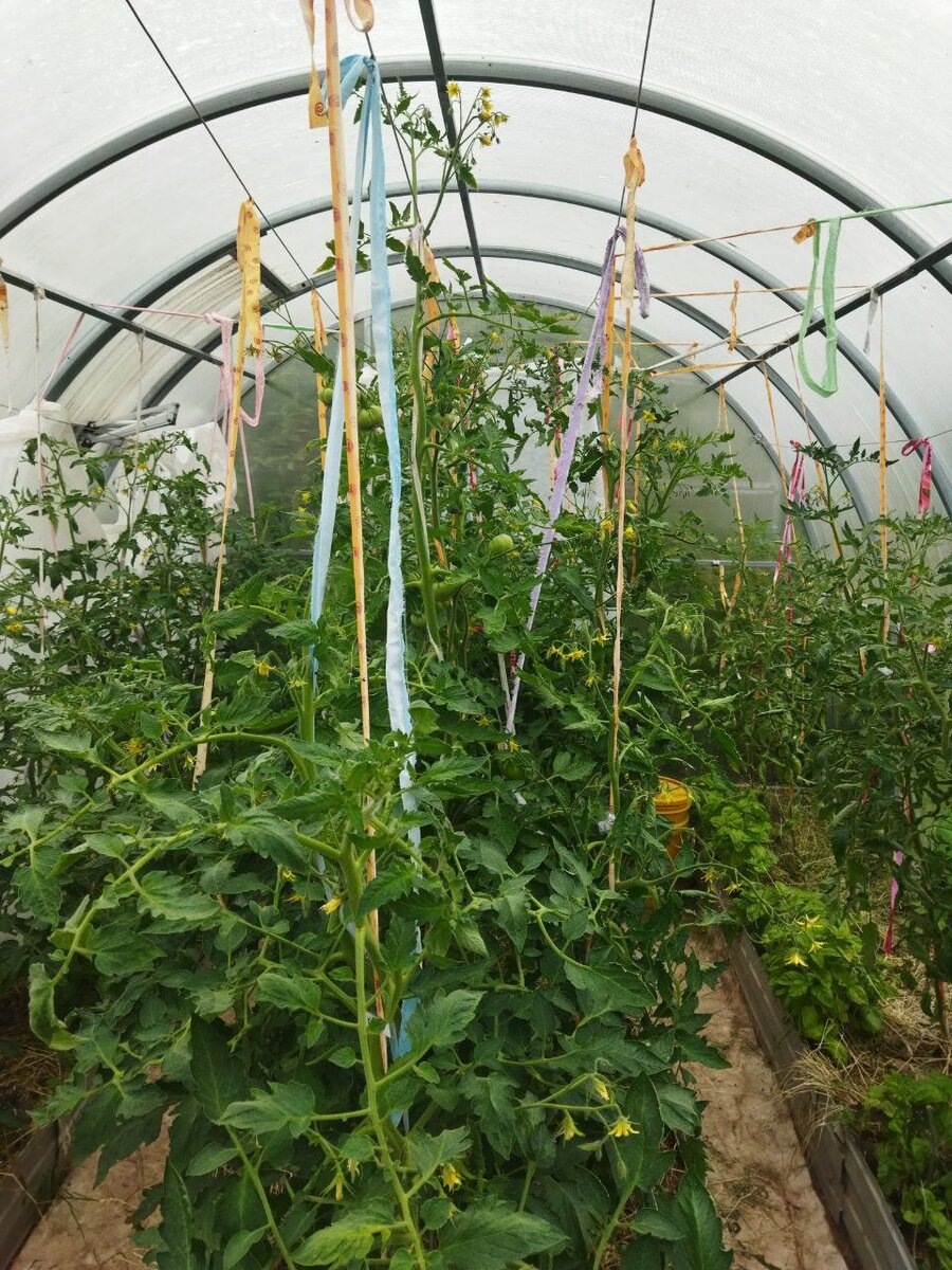 А здесь через полтора месяца. 29 июня 2023 года