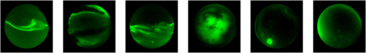 Образец изображений из набора данных THEMIS Oslo Aurora (OATH). Слева направо вручную назначенные метки: «Дуга», «Рассеянный», «Дискретный», «Облачный», «Луна», «Ясный». Эти изображения являются изображениями в ложных цветах, они были преобразованы в RGB с информацией об интенсивности, записанной в зелёном канале.    
 Источник: Journal of Geophysical Research: Machine Learning and Computation. DOI: 10.1029/2024JH000292  📷
