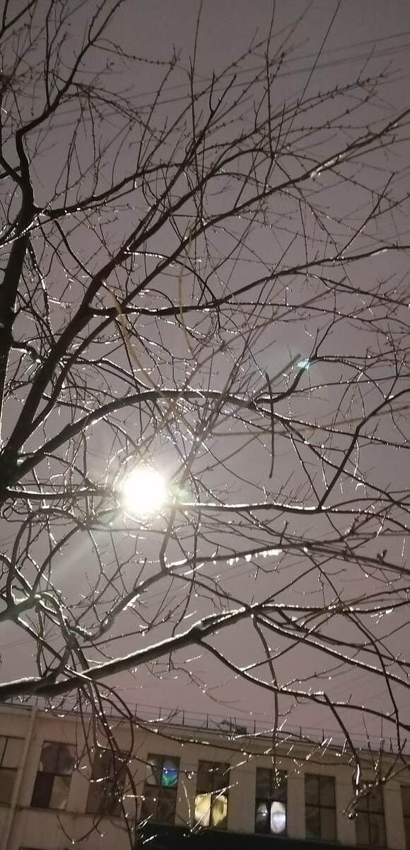 Прекрасный зимний вечер ❄❄❄