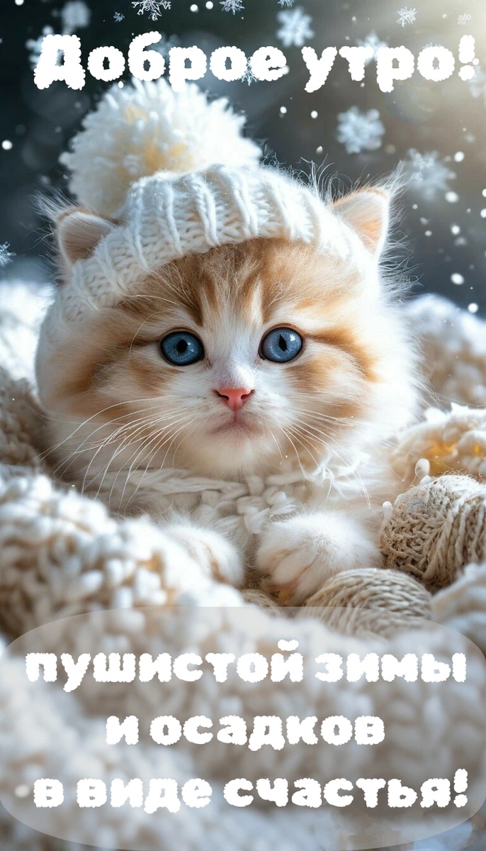 Доброе утро! Пушистой зимы и осадков в виде счастья!