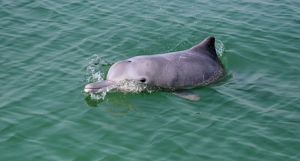    Zhang Ailin/XinHua / Global Look Press