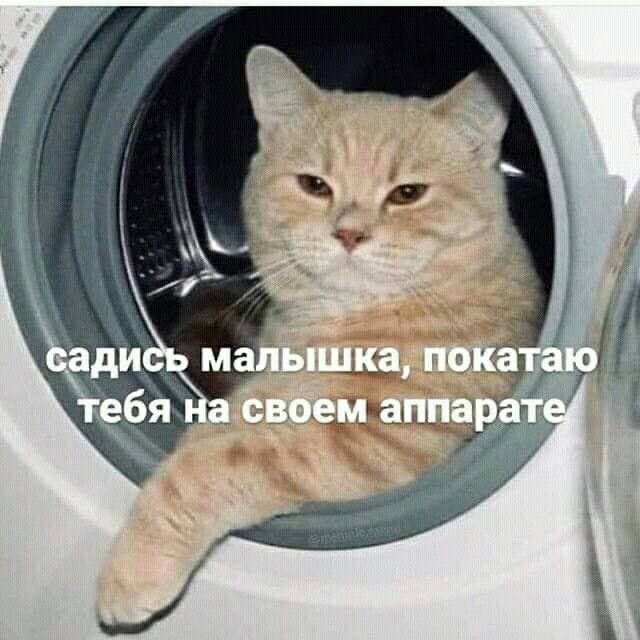 источник Яндекс-картинки