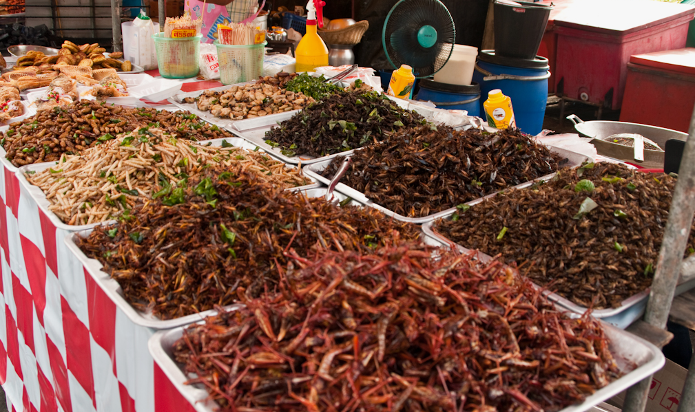 В Китае и Таиланде полно вот таких развалов, и никто не потравился