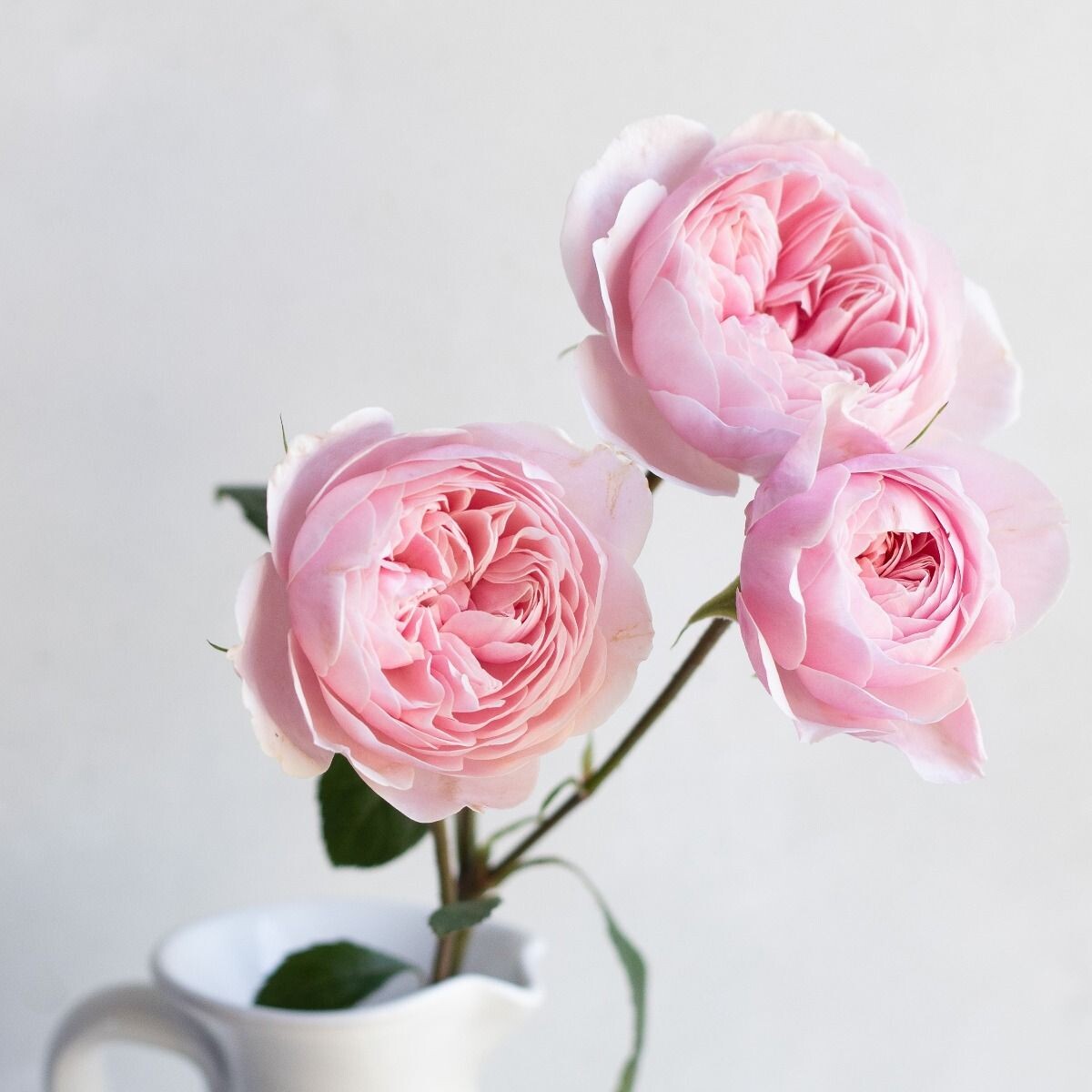 Фото Real Flower Company