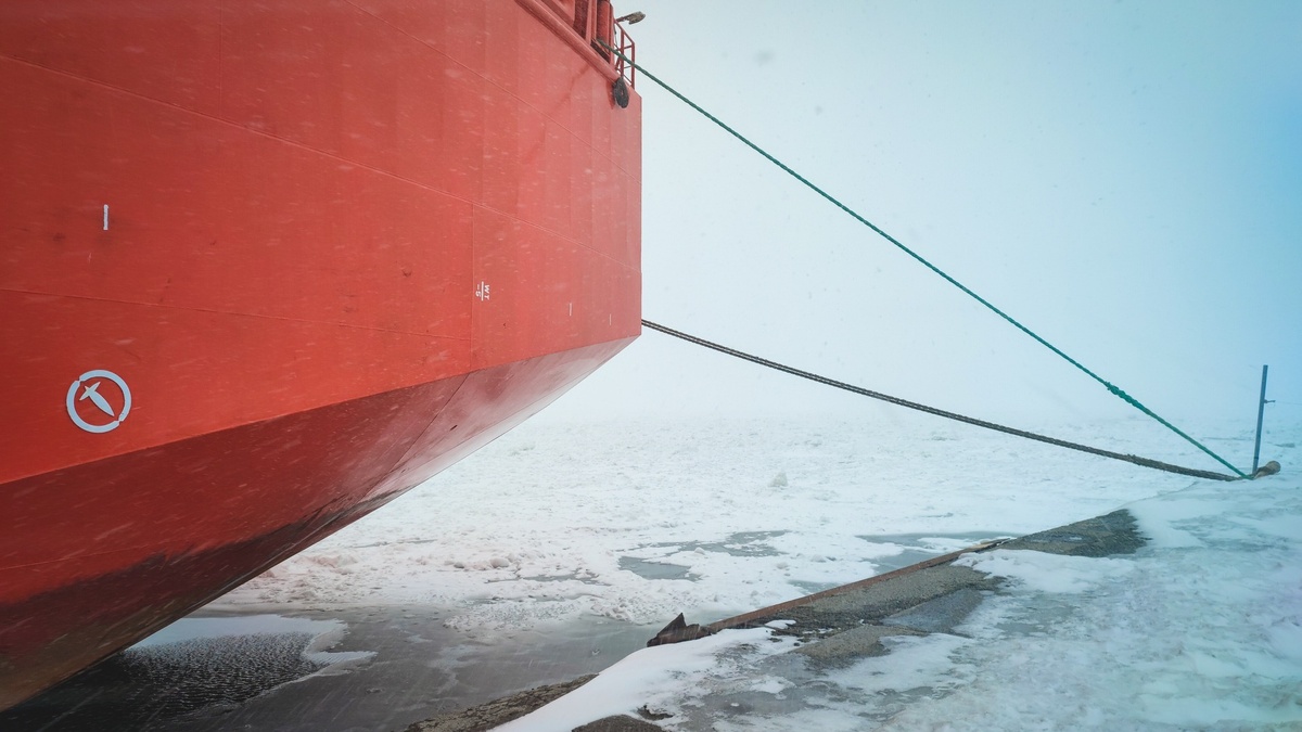     Источник: 1MI